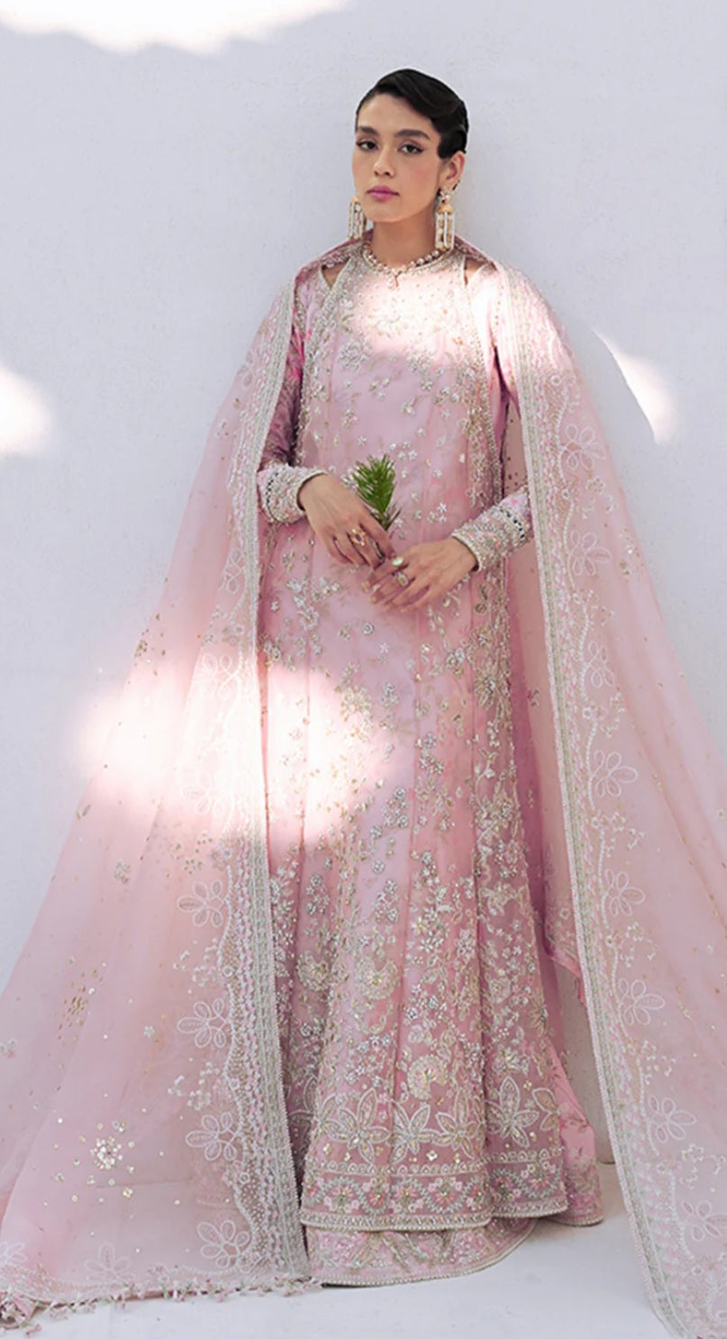 Suffuse Formal Party Wear Hit Code
